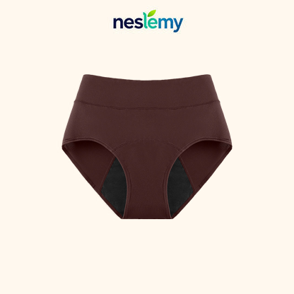 NESLEMY™ 100% Leak-Proof Underwear | ❄️Winter Sale☃️
