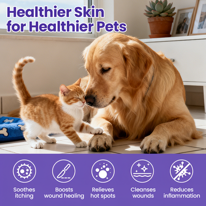 AQA® Pet Ear Rinse