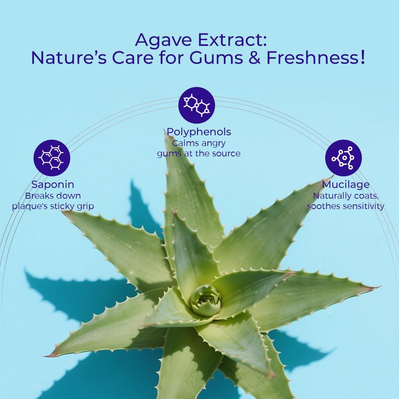 Agave Natural Herbal Toothpaste